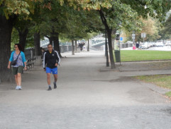 Všechno nebo nic (2017)