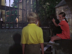 13. Pan Tau a tisíc kouzel