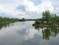 Rybník v Panenských Břežanech