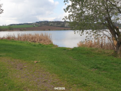 rybník
