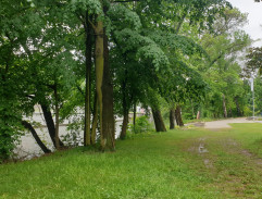 Příchod Dalibora Kysely