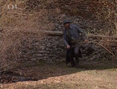 Vosák u zámecké zdi