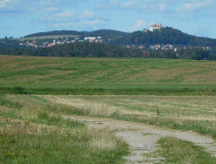 Žigulík
