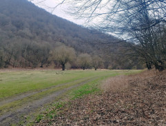 Reformace/Mezi nebem a zemí