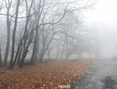 Palček odchádza z hotela