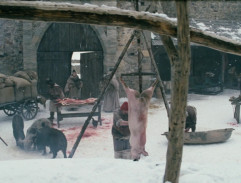 Bathory