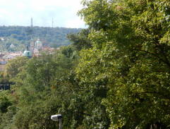 Vina Vladimíra Olmera