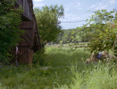 3. Mŕtvy muž v poli