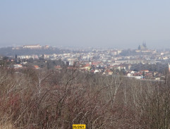 pohled na Brno
