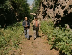 O rodičích a dětech