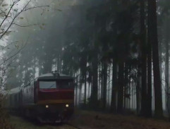 Průjezd vlaku lesem