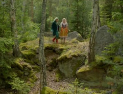 Na skalách v lese