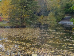 Princezna zakletá v čase