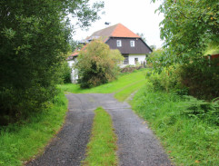 Cesta hlubokým lesem