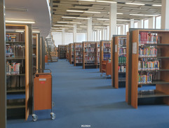 V knihovně