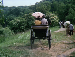 Adéla ještě nevečeřela