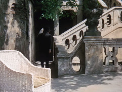 Adéla ještě nevečeřela