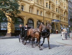 Adéla ještě nevečeřela