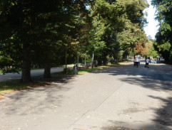 S03E29 Sběrači lahví