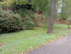 Vyšetřování v parku 2