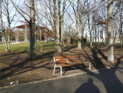 V parku VII