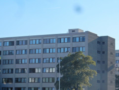Příběhy obyčejného šílenství