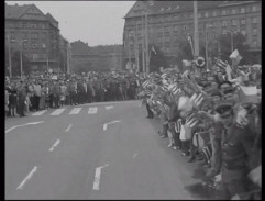 Příběhy obyčejného šílenství