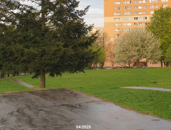 Na školním hřišti