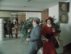 Zítra vstanu a opařím se čajem