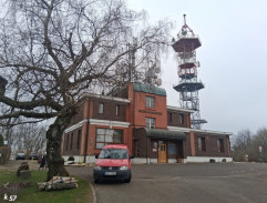 Jedině Tereza