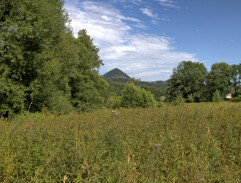 Jak se točí Rozmarýny