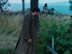 Sedím na větvi a je mi dobře