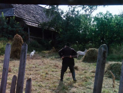 Sedím na větvi a je mi dobře