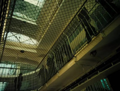 Sedím na větvi a je mi dobře