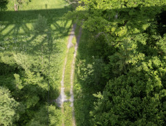 cesta pod železničným mostom