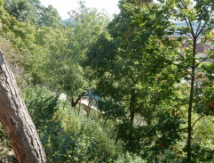 Valčík pro milión