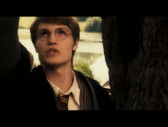 Vzpomínky Severuse Snapa