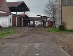 Čepelák v kravíně