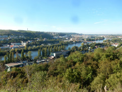 Malý přítel z města N (1)