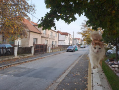 Cesta za Klárou