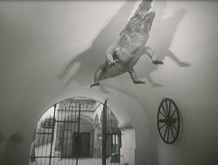 Brněnský drak a kolo