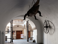 Brněnský drak a kolo