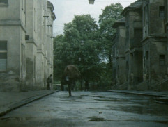 Smrt černého krále