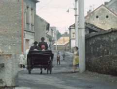 Smrt černého krále