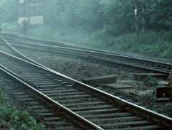 Smrt černého krále