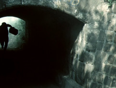 Smrt černého krále