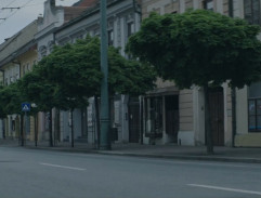 Miky striasol tajných