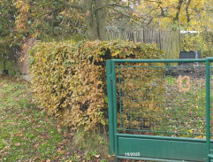 U domu služebné Marie