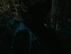 Útěk před security