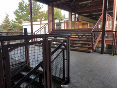 Tessinka skáče panáka